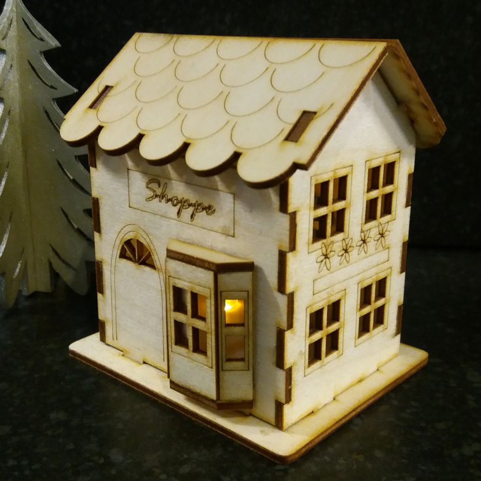 Customer laser project